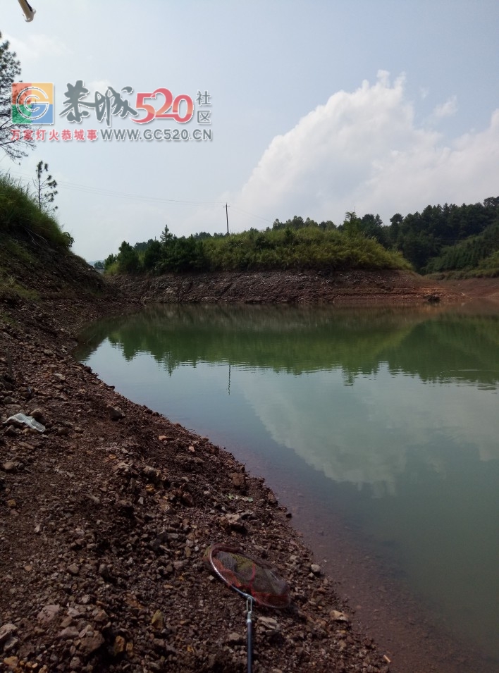 气温高渔获不佳MDG106 / 作者:MDG / 帖子ID:237131