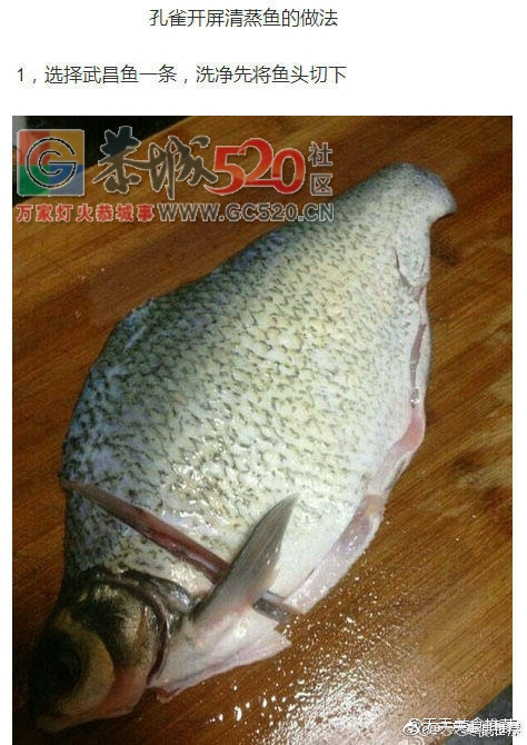孔雀开屏清蒸鱼457 / 作者:啤酒加烤串儿 / 帖子ID:237378
