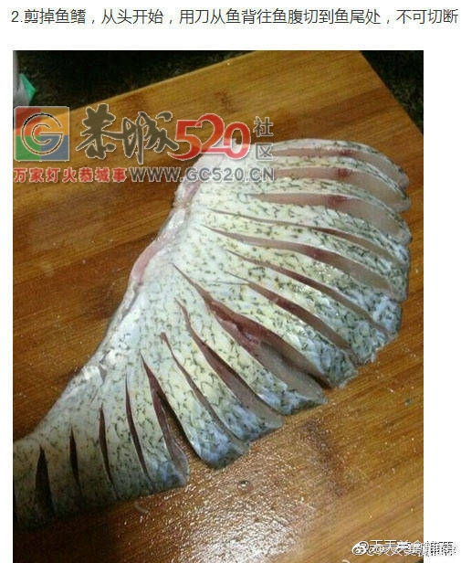 孔雀开屏清蒸鱼604 / 作者:啤酒加烤串儿 / 帖子ID:237378