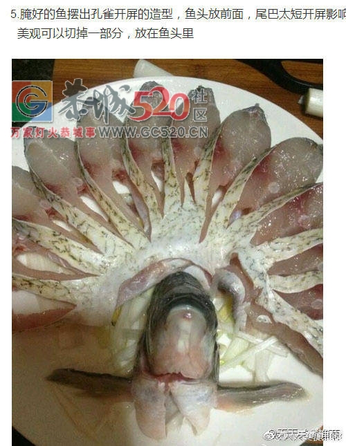 孔雀开屏清蒸鱼571 / 作者:啤酒加烤串儿 / 帖子ID:237378