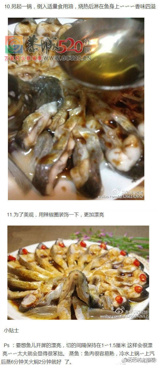 孔雀开屏清蒸鱼533 / 作者:啤酒加烤串儿 / 帖子ID:237378