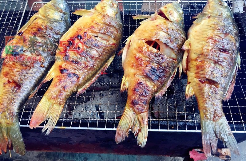 秋高气爽龙脊梯田，偷得浮生半日闲37 / 作者:黑轩 / 帖子ID:237676