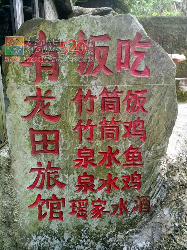 秋高气爽龙脊梯田，偷得浮生半日闲511 / 作者:黑轩 / 帖子ID:237676