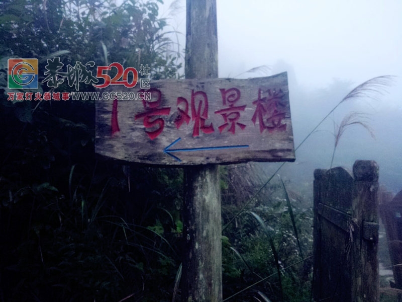 秋高气爽龙脊梯田，偷得浮生半日闲678 / 作者:黑轩 / 帖子ID:237676