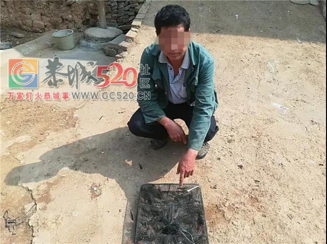 平乐一男的到恭城捕鸟被拷起啦！！944 / 作者:碧澄匀 / 帖子ID:238443