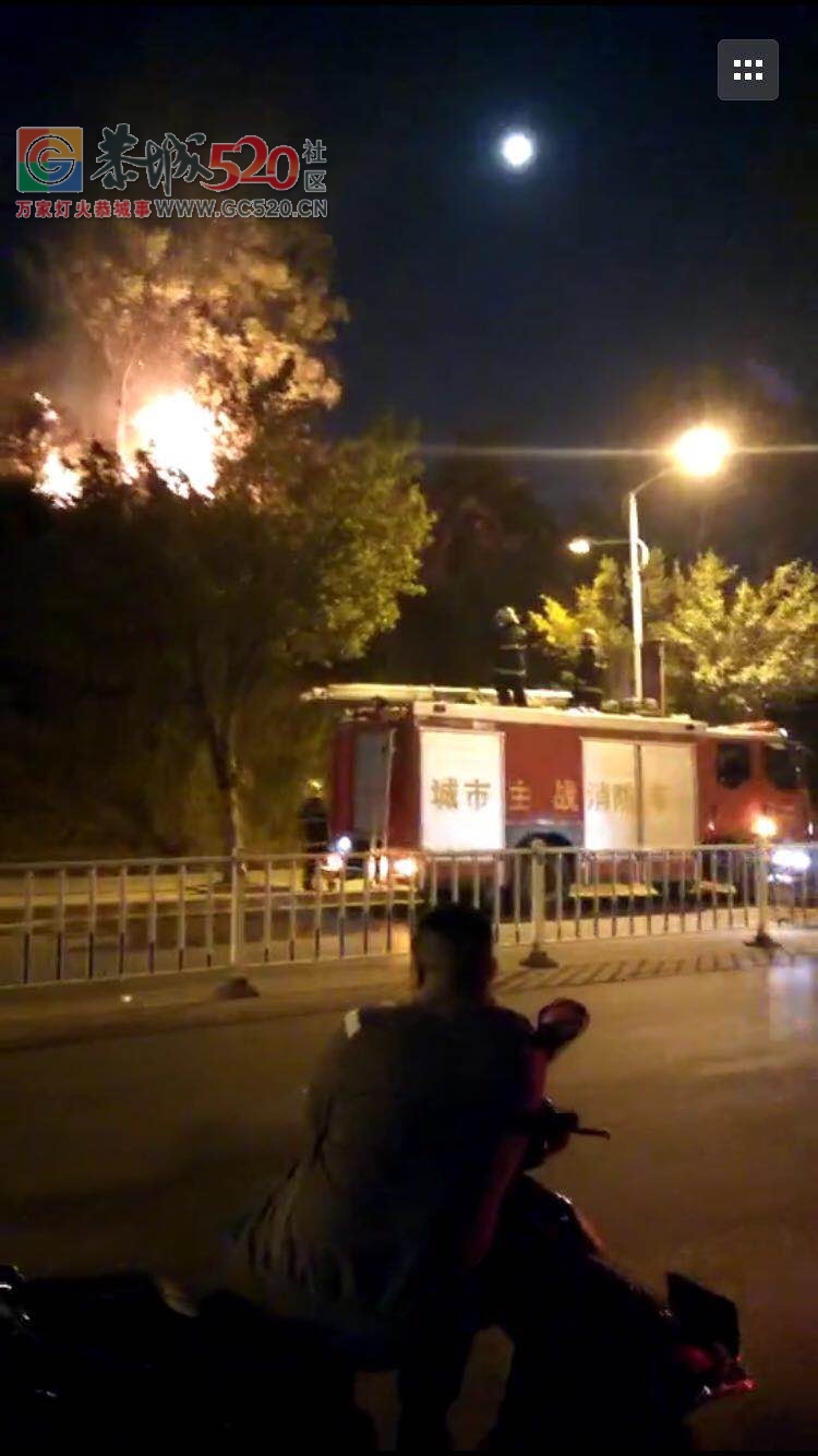 久旱不雨，天和对面土岭昨夜又现大火。463 / 作者:对岸烽火 / 帖子ID:238489