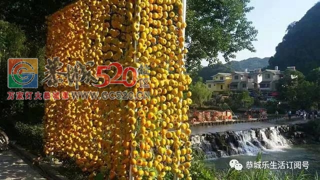 中国特色小镇系列报道月柿之乡 · 莲花镇112 / 作者:雨打芭蕉残 / 帖子ID:238665