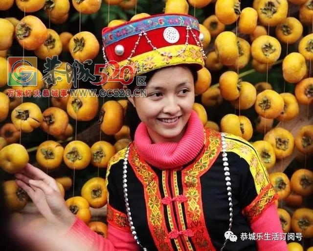 中国特色小镇系列报道月柿之乡 · 莲花镇425 / 作者:雨打芭蕉残 / 帖子ID:238665