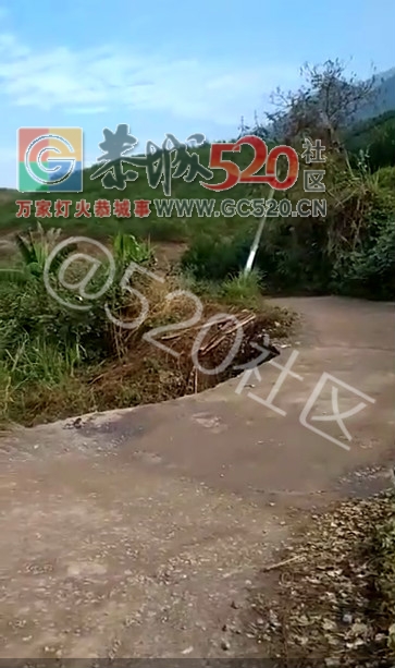 大岭进茶垒的电话杆倒 了，挡住了路792 / 作者:纯粮正宗土鸡 / 帖子ID:238675
