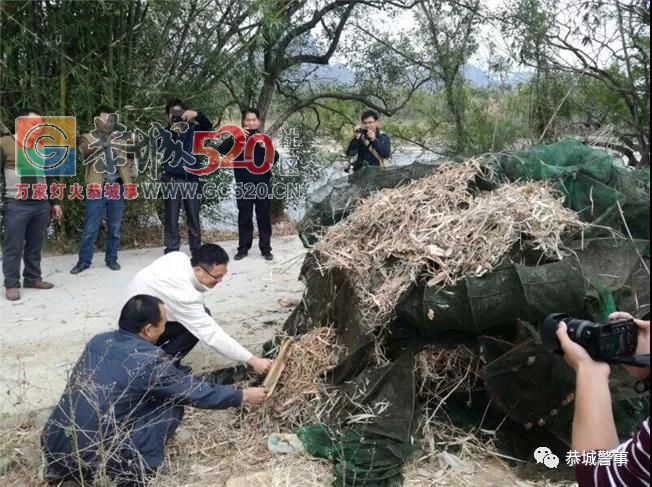 【生态保护】恭城公安局配合多部门开展打击电鱼、毒鱼、捕鱼等非法捕捞专项整治行动248 / 作者:baby甜心 / 帖子ID:241062