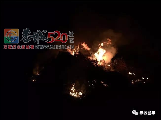 【生态保护】恭城公安局配合多部门开展打击电鱼、毒鱼、捕鱼等非法捕捞专项整治行动399 / 作者:baby甜心 / 帖子ID:241062
