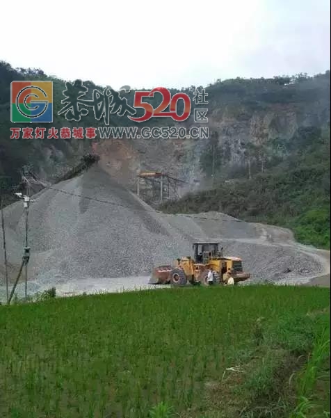 恭城县海洋山违法开采相关当事人被问责72 / 作者:单身狗的生活 / 帖子ID:241063