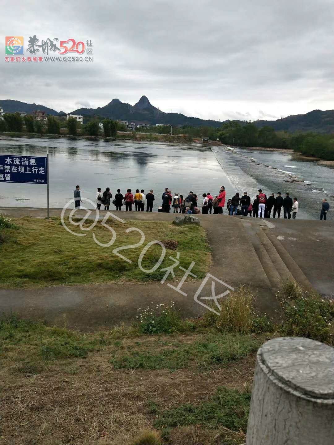 贪心！滨江宛放鱼人前脚刚走，后脚马上就有人在捞鱼145 / 作者:丽丽看花 / 帖子ID:241206