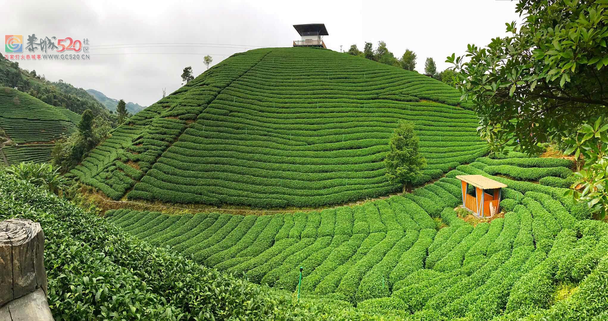 卓越之旅带你畅游昭平美景927 / 作者:黑轩 / 帖子ID:246187