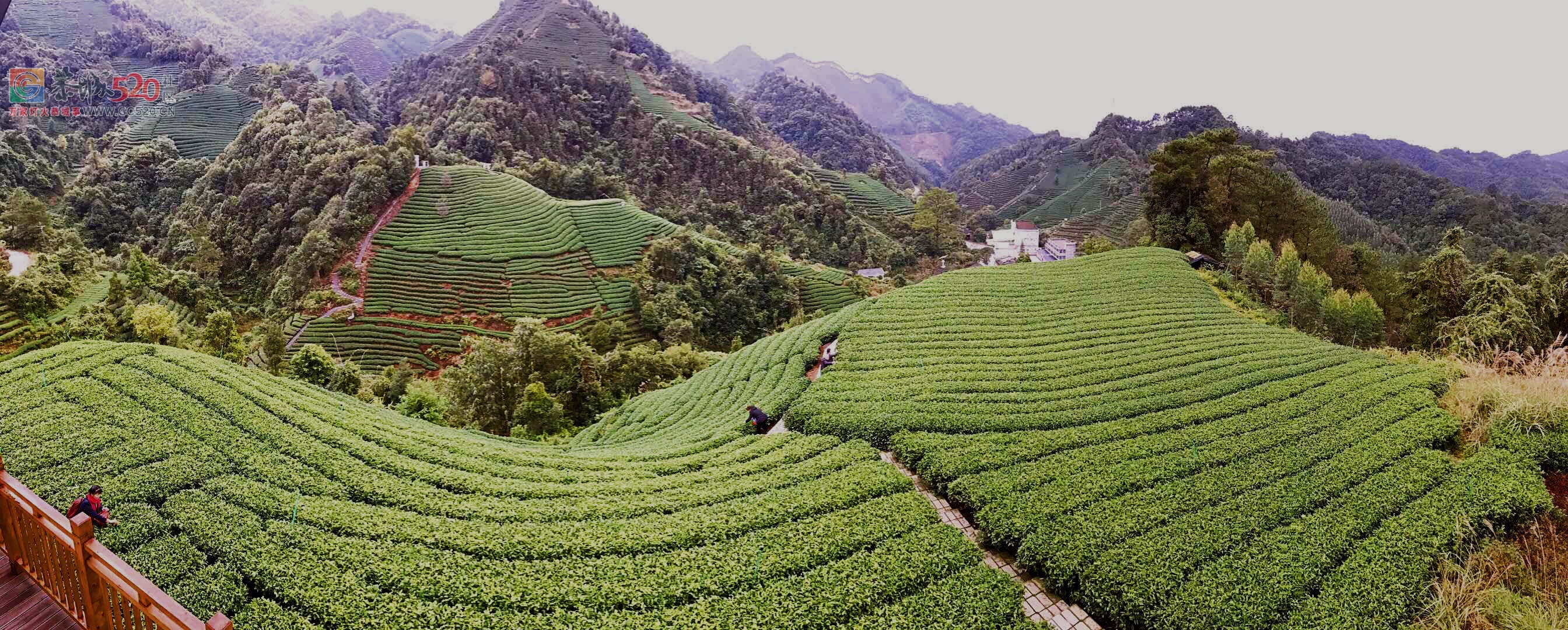 卓越之旅带你畅游昭平美景791 / 作者:黑轩 / 帖子ID:246187