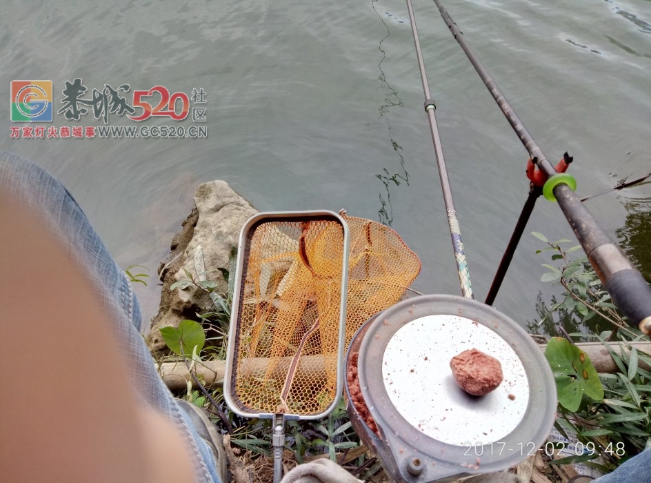 钓石豪鱼MDG339 / 作者:MDG / 帖子ID:246320