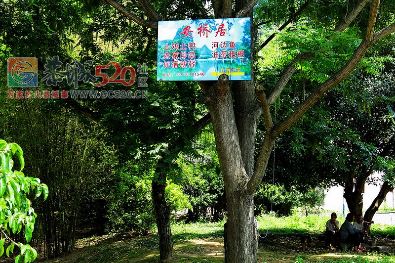 社山：基础建设搞好了环卫未跟上。44 / 作者:平安大叔 / 帖子ID:258759