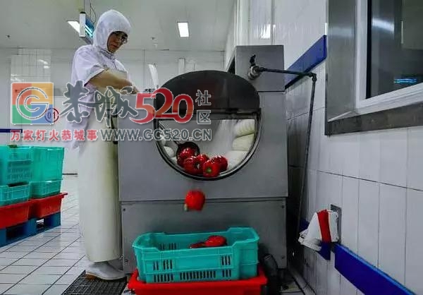 高铁盒饭凭什么那么贵？595 / 作者:登山涉水 / 帖子ID:258982