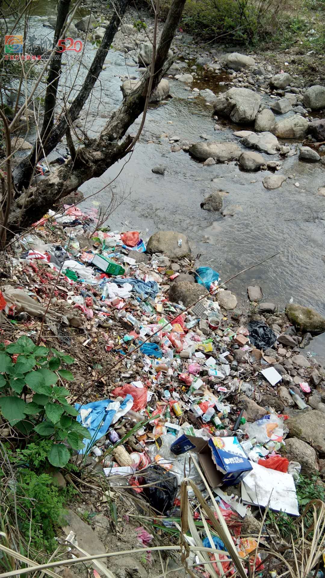 自然村的垃圾都往河边倒，至使河流污染严重415 / 作者:洗洗睡 / 帖子ID:259565