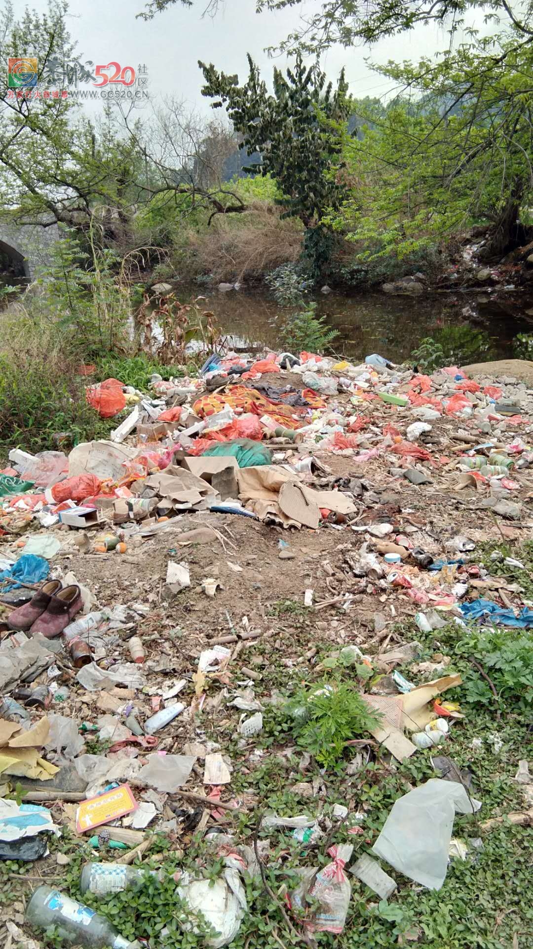 自然村的垃圾都往河边倒，至使河流污染严重14 / 作者:洗洗睡 / 帖子ID:259565