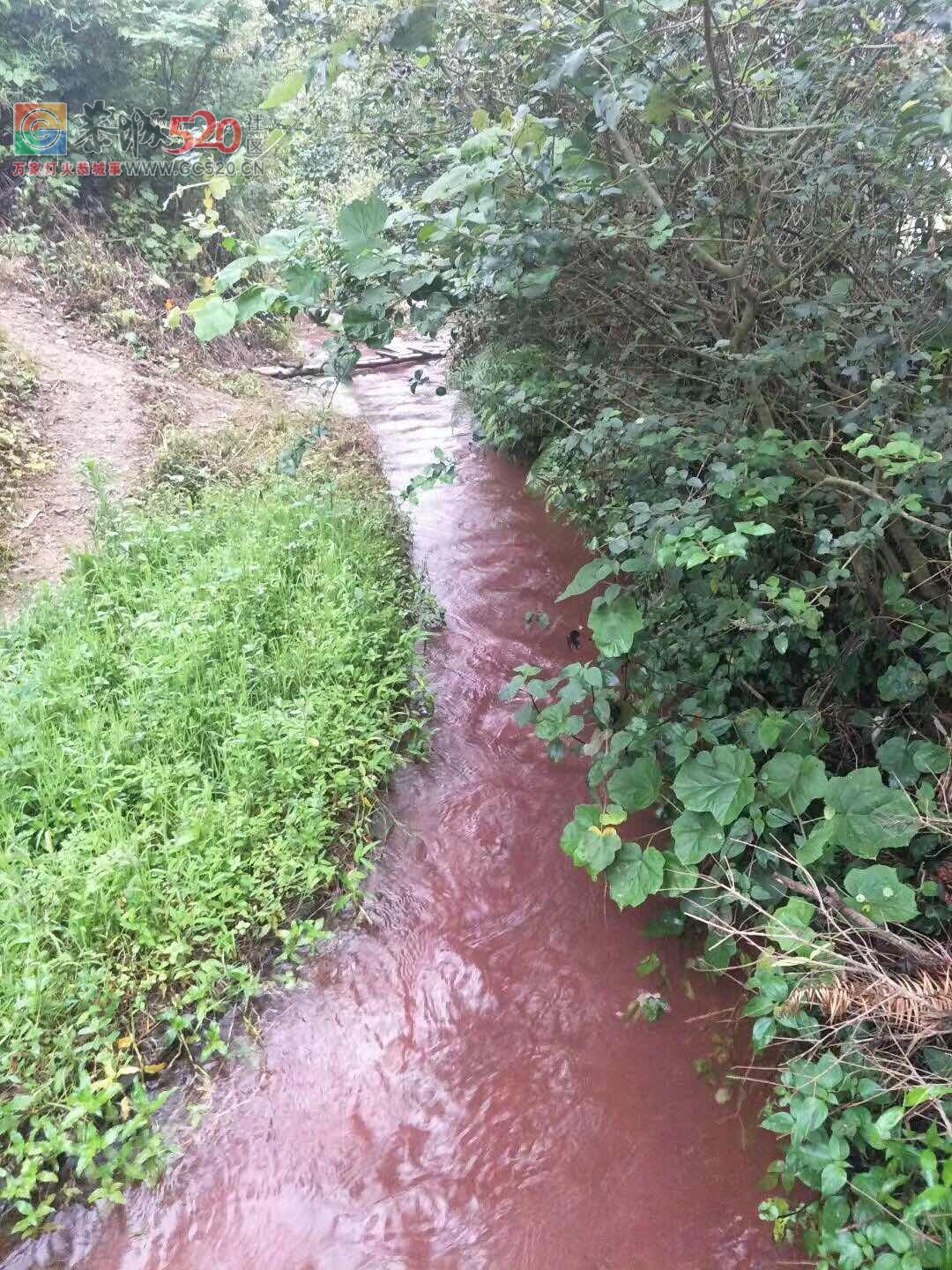 嘉会镇太平莲塘村挑水岩流出红色的水来了！730 / 作者:三江黄坪 / 帖子ID:260916