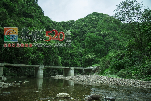 【天然氧吧】无意中发现恭城一处绝美秘境，身藏大山深处鲜为人知！423 / 作者:分类小编 / 帖子ID:261219