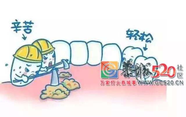 塞牙非小事，容易引起大问题！926 / 作者:茶江余晖 / 帖子ID:261511