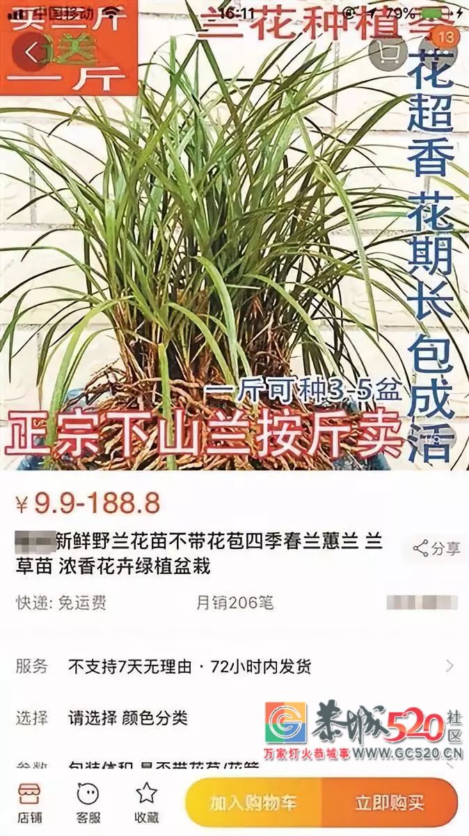 这种网上热销的植物，别再买了！830 / 作者:红通通 / 帖子ID:261995