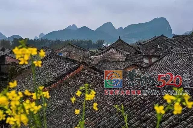 桂林深处的世外桃源-- 恭城379 / 作者:狗婆蛇 / 帖子ID:263203