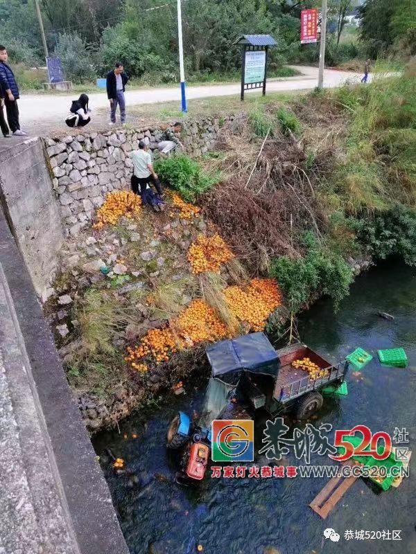 惊险！一拉满柿子的拖拉机在恭城桐竹桥头过桥时翻下河里，司机抓住树蔸求救486 / 作者:儿时的回忆 / 帖子ID:266428