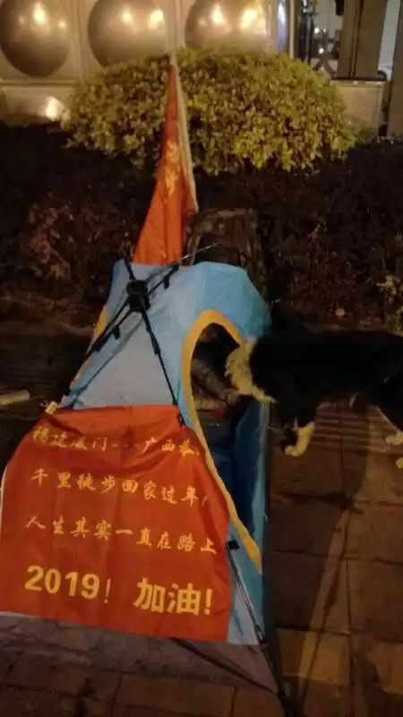 牛！恭城三江一男子徒步千里，回家过年（厦门—恭城）466 / 作者:分类小编 / 帖子ID:267169