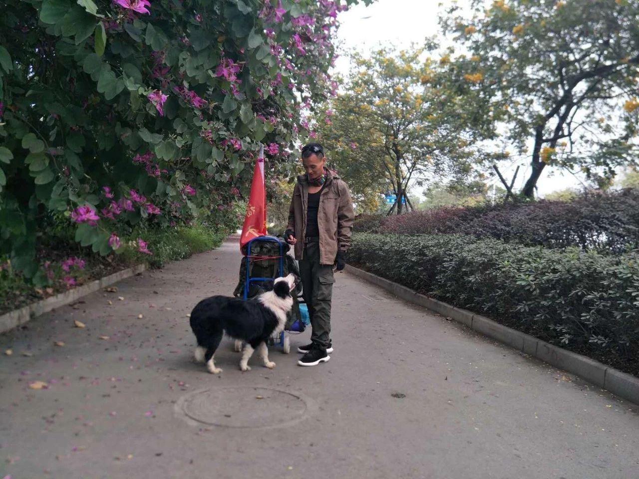 跟进丨恭城三江小伙千里徒步回家过年第二天【厦门—恭城】523 / 作者:深秋的落叶 / 帖子ID:267180