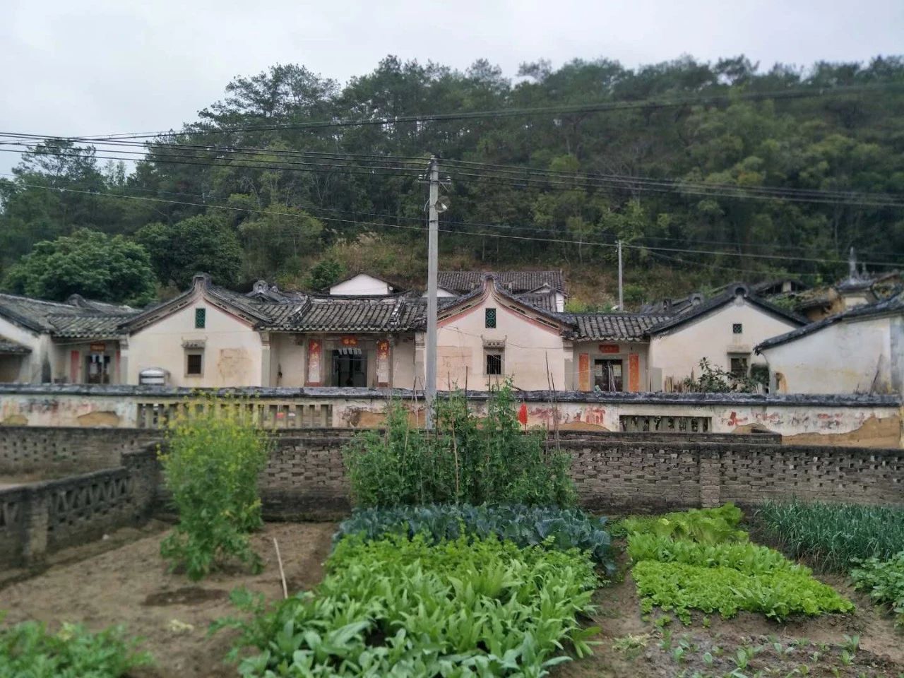 恭城三江小伙千里徒步回家过年第6天，行走85公里，到达梅州兴宁650 / 作者:深秋的落叶 / 帖子ID:267233