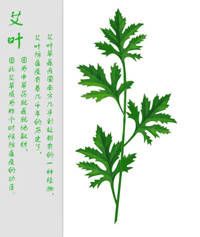三月三钜惠，9块9我们一起去恭城洗头吧!还有免费礼品送~155 / 作者:单身狗的生活 / 帖子ID:267736