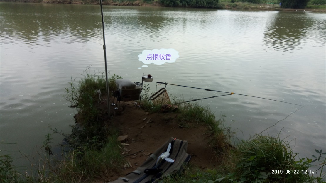 渔乐MDG49 / 作者:MDG / 帖子ID:268012