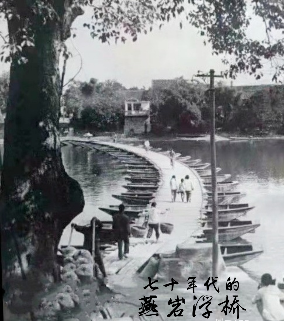 燕岩浮桥634 / 作者:悠闲 / 帖子ID:268412