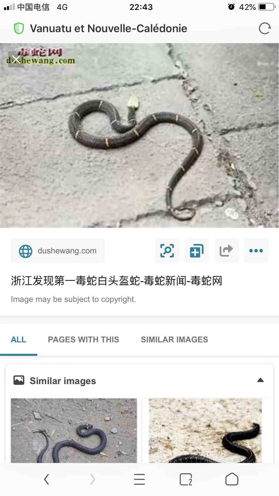 可怕！恭城惊现第一毒蛇！！大家注意了549 / 作者:印度大拿 / 帖子ID:268614