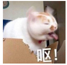 露骨截图曝光！为求复合，恭城这个男子竟扬言要发前女友裸照…961 / 作者:论坛小编02 / 帖子ID:268771
