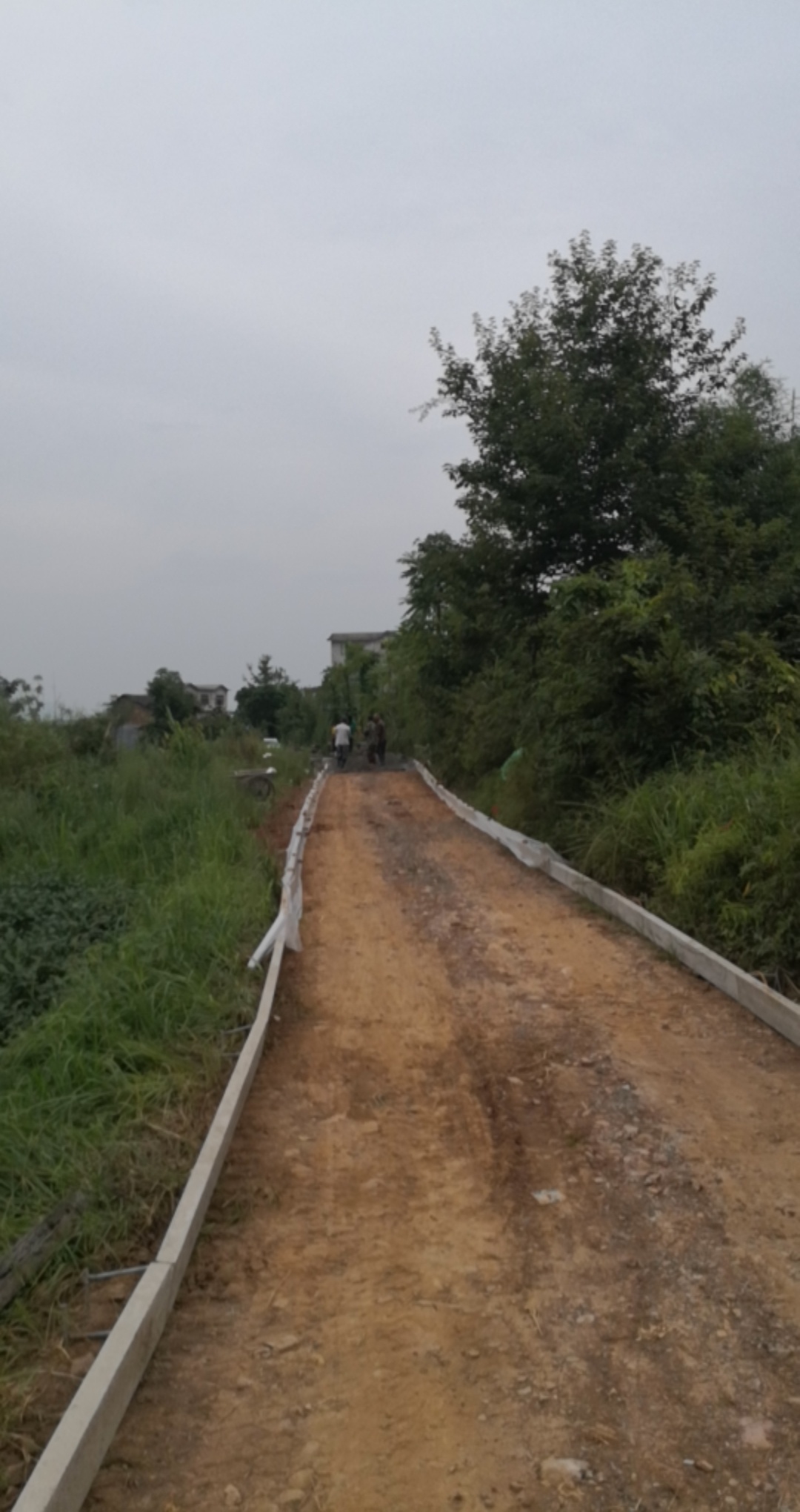 西岭八岩麒麟寨至白石路段开始修水泥路990 / 作者:2支棒棒糖 / 帖子ID:268803