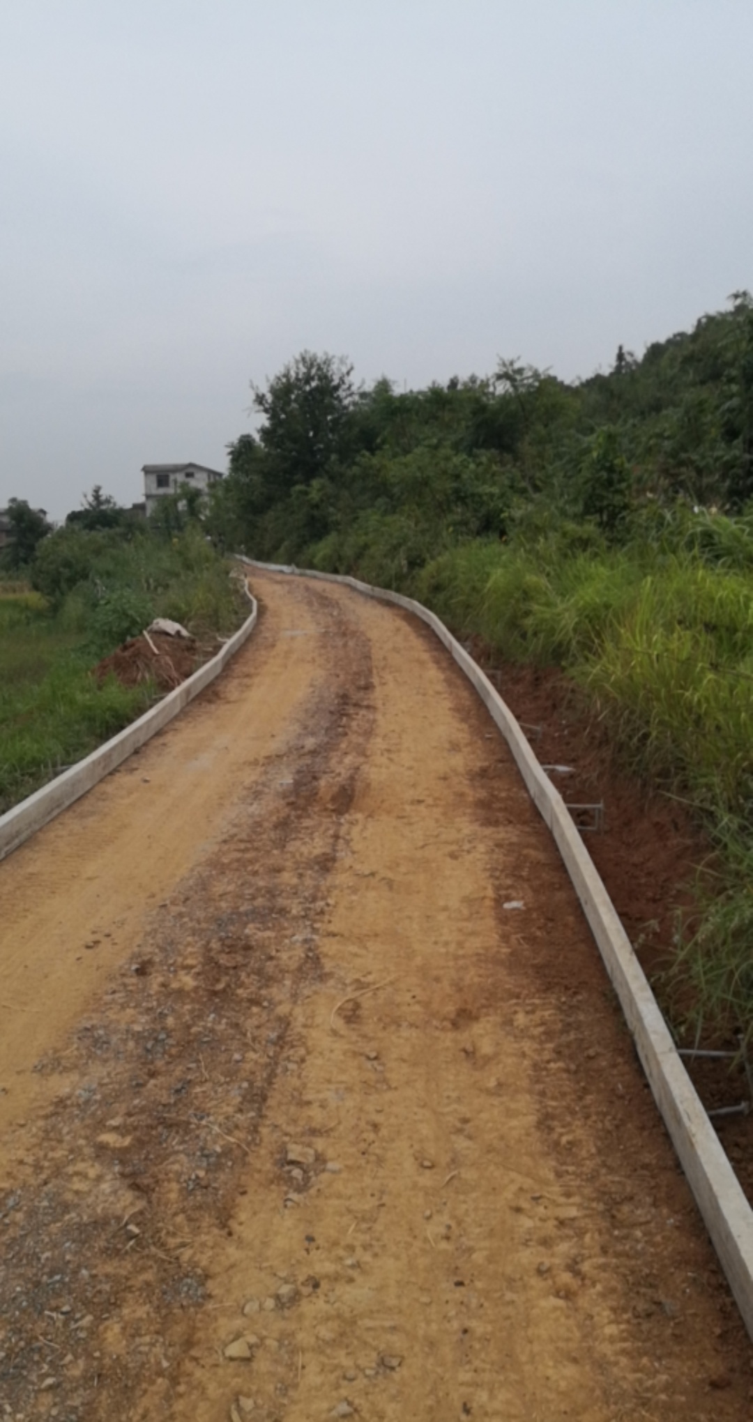 西岭八岩麒麟寨至白石路段开始修水泥路825 / 作者:2支棒棒糖 / 帖子ID:268803