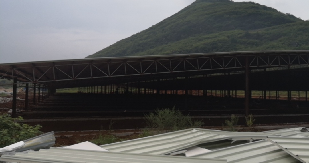 西岭下宋山旮旯里面搞了个大型养猪场700 / 作者:2支棒棒糖 / 帖子ID:268806