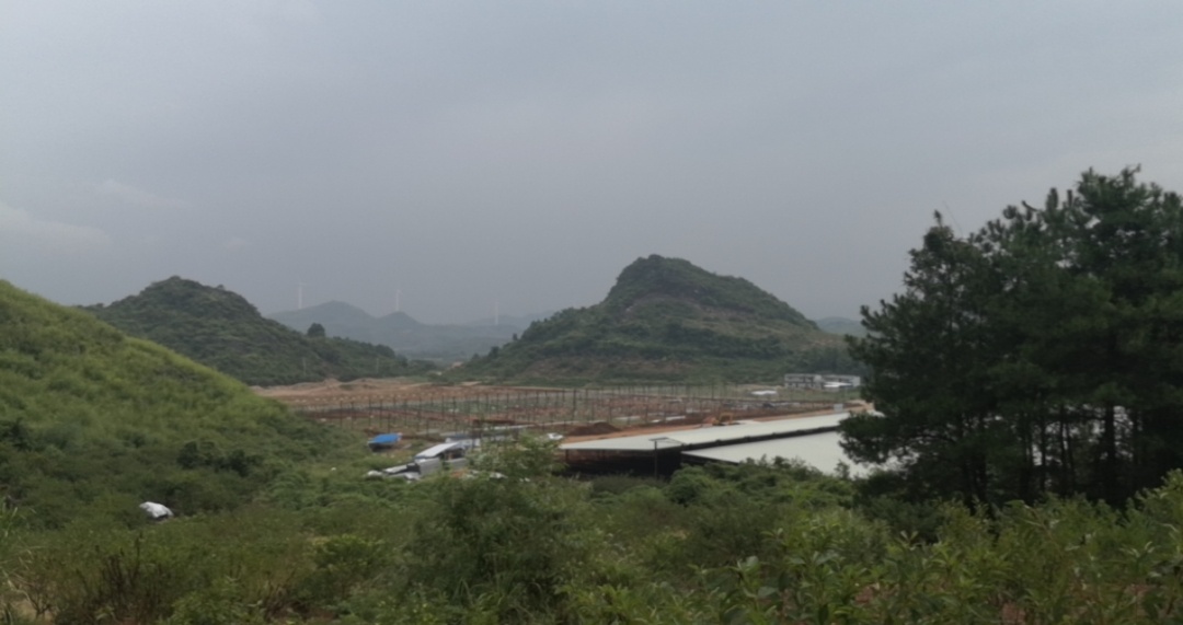 西岭下宋山旮旯里面搞了个大型养猪场847 / 作者:2支棒棒糖 / 帖子ID:268806