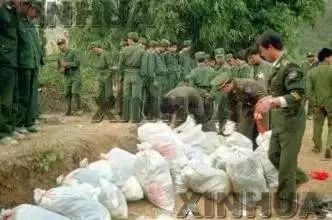 诡异的桂林空难:141人死亡碎尸,法医却多拼出2人?