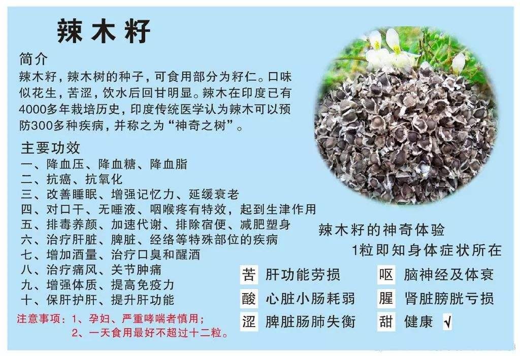 大量供应纯天然养生食品~辣木籽24 / 作者:燕南天 / 帖子ID:268823