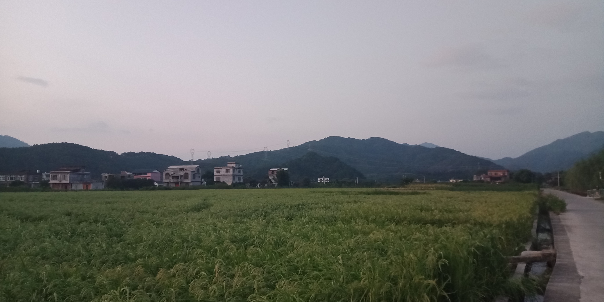 田园风光409 / 作者:荣哥 / 帖子ID:268860