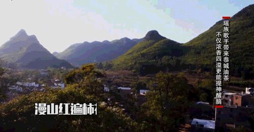 今晚六点半请锁定中央二台《回家吃饭》恭城籍歌唱演员李雪将捶出地道恭城油茶849 / 作者:论坛小编02 / 帖子ID:268899