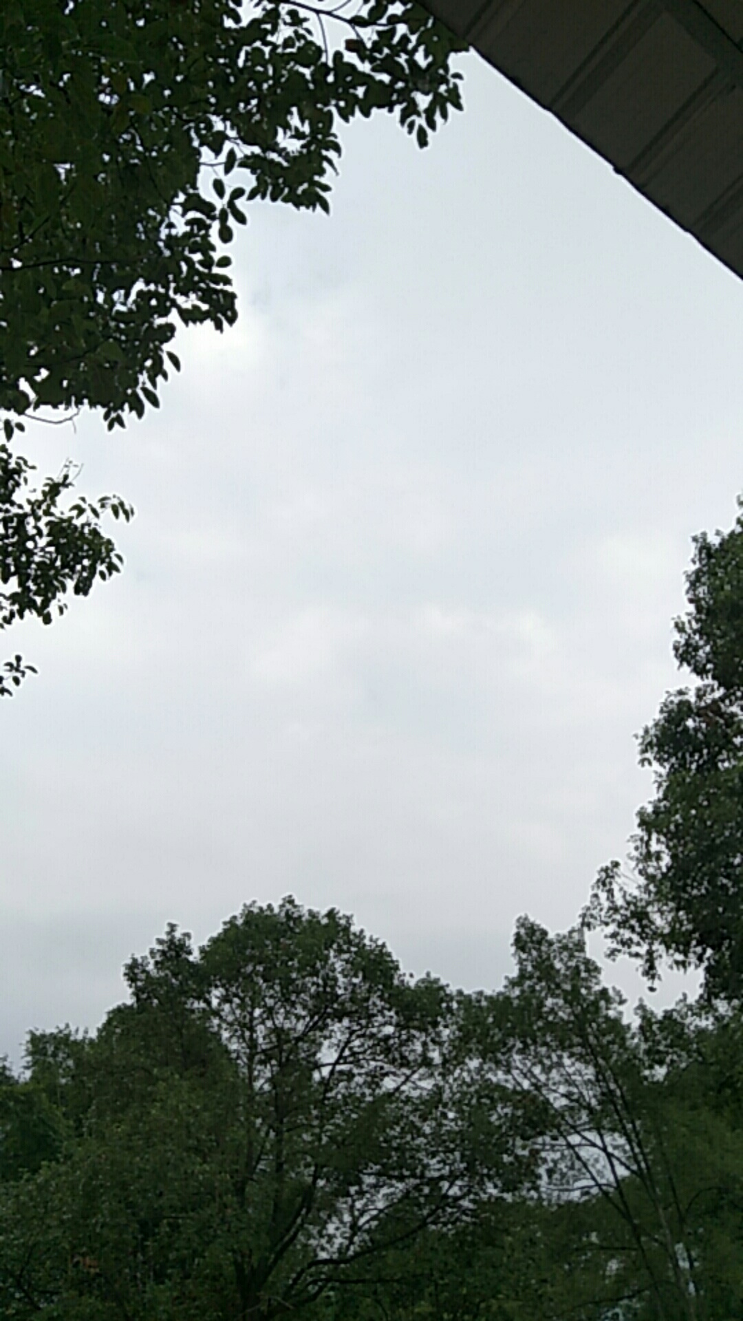 有云了，可以人工降雨吗？817 / 作者:@缘 / 帖子ID:269057