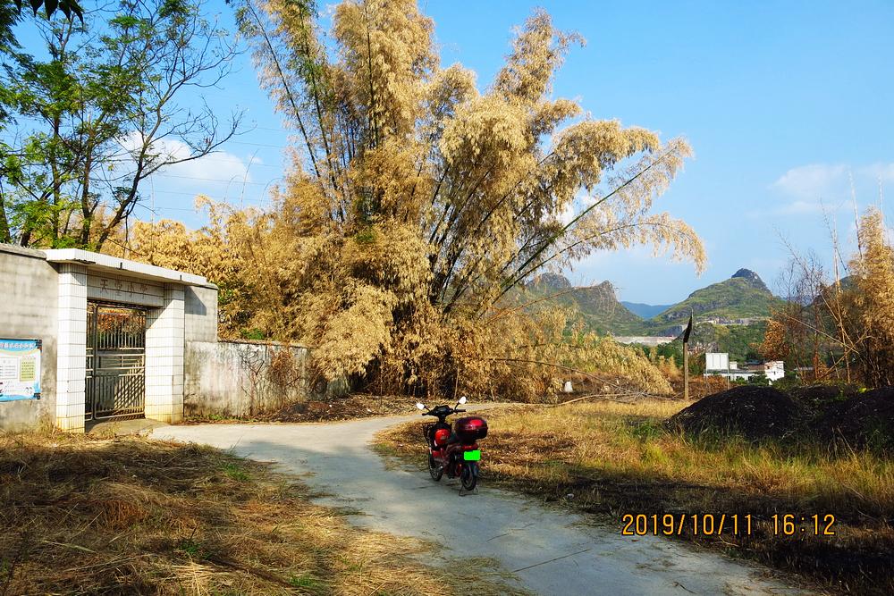 秋日“扫黄”扫出别有风味的风景。396 / 作者:平安大叔 / 帖子ID:269098