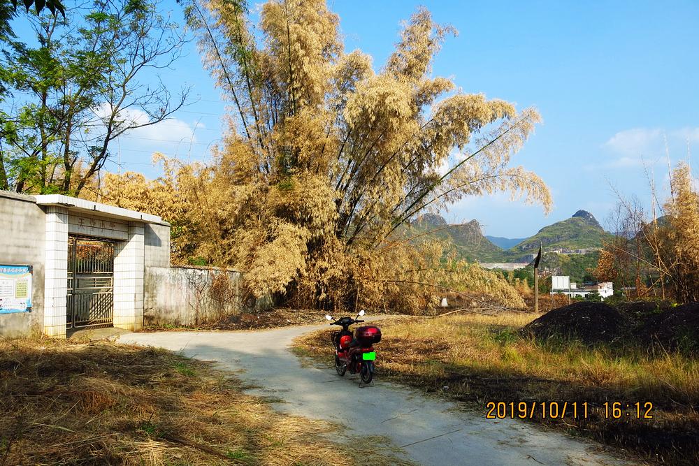 秋日“扫黄”扫出别有风味的风景。556 / 作者:平安大叔 / 帖子ID:269098