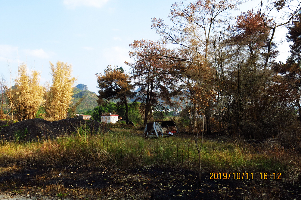 秋日“扫黄”扫出别有风味的风景。83 / 作者:平安大叔 / 帖子ID:269098